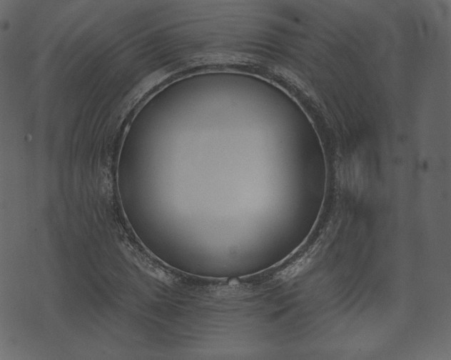 X0000073971025200608281208