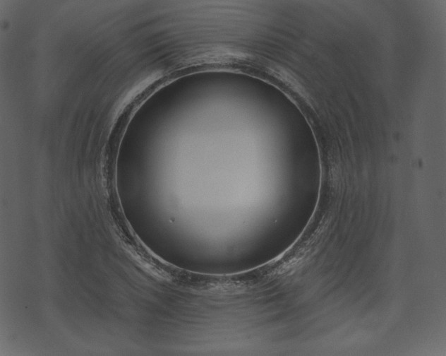 X0000073971026200608281208