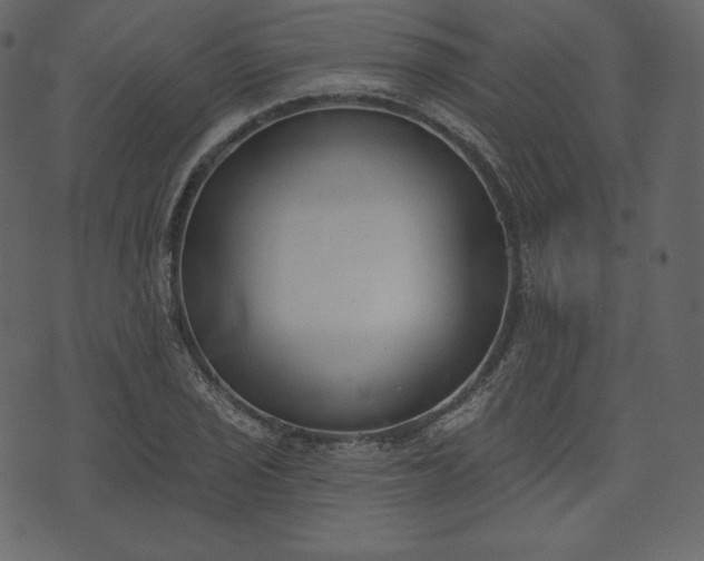 X0000073971029200608281208