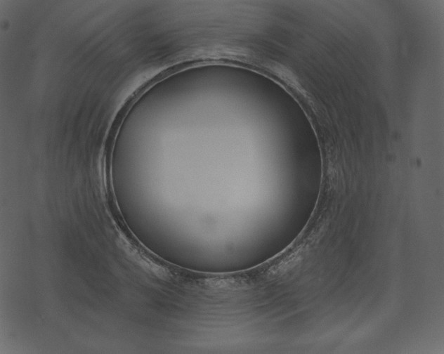 X0000073971032200608281208