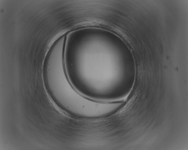 X0000073971034200608281208