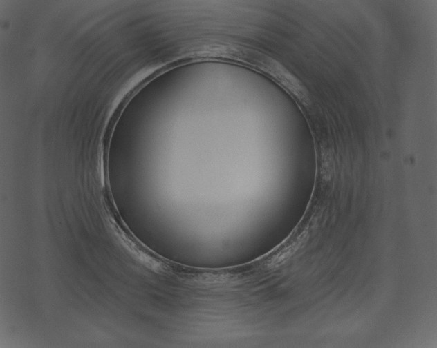 X0000073971036200608281208