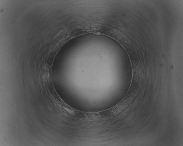 X0000073971058200608281208