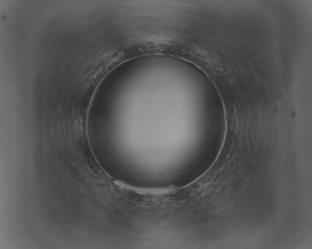 X0000073971061200608281208