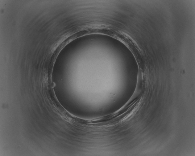 X0000073971065200608281207