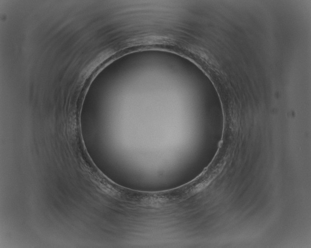 X0000073971073200608281207