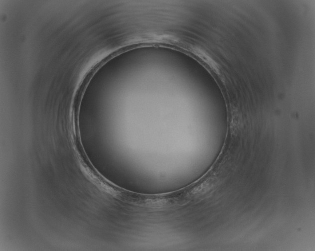 X0000073971080200608281207