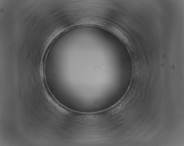 X0000073971084200608281207