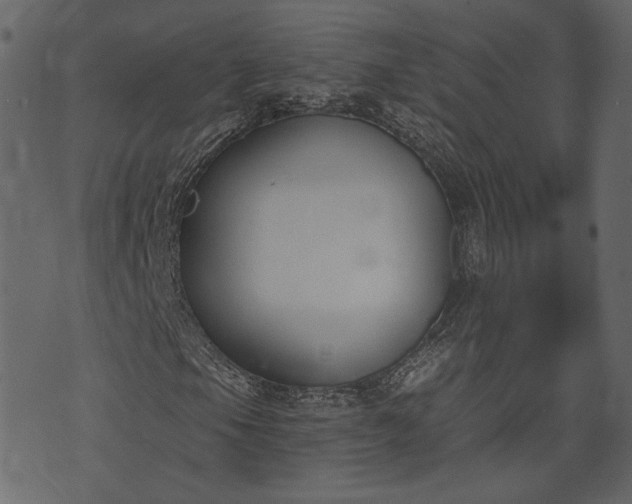 X0000073971105200608281206