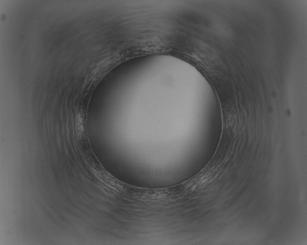 X0000073971106200608281206