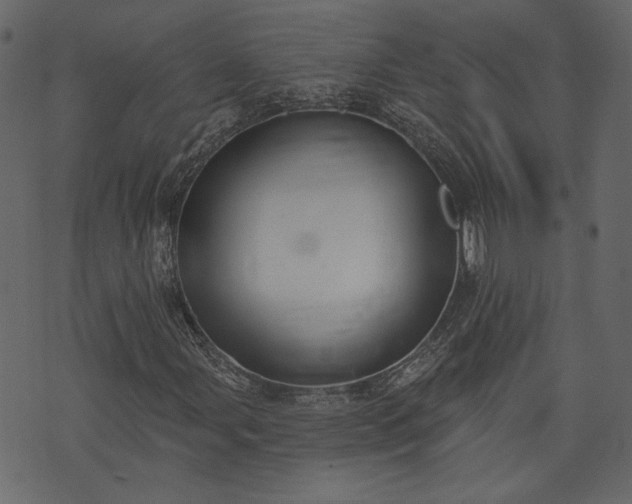 X0000073971107200608281206