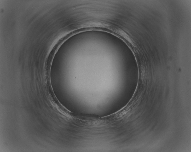 X0000073971116200608281206