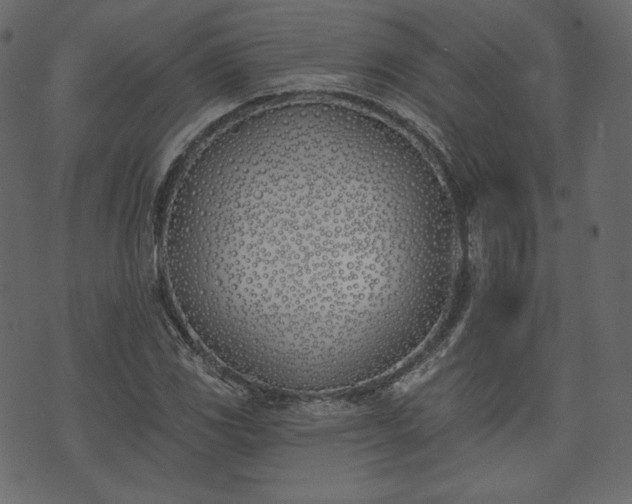 X0000073971117200608281206
