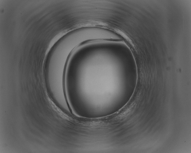 X0000073971122200608281206