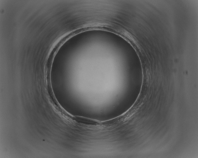 X0000073971124200608281206