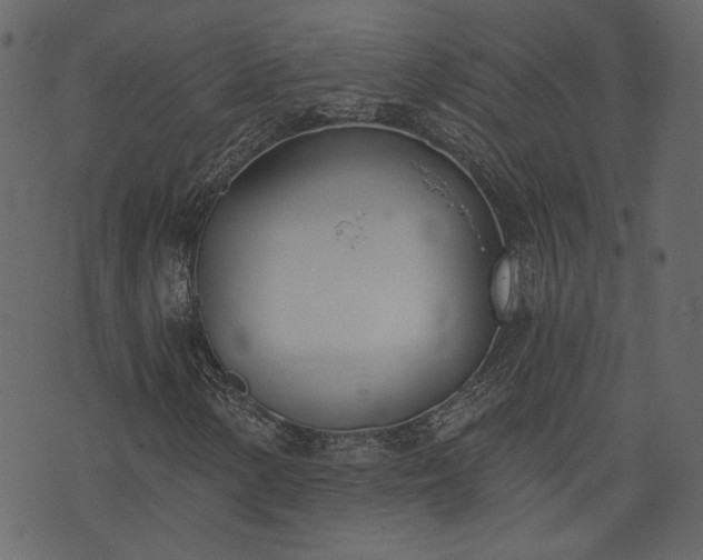 X0000073971154200608281206