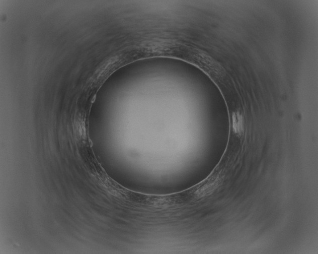 X0000073971155200608281206