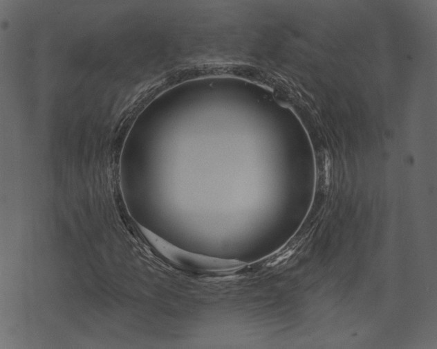 X0000073971157200608281206