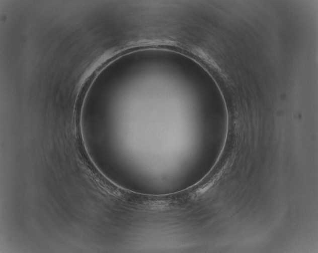 X0000073971173200608281206