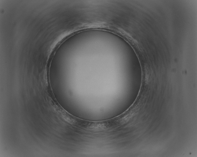 X0000073971174200608281206