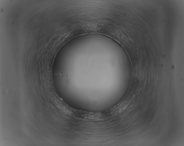 X0000073971201200608281204