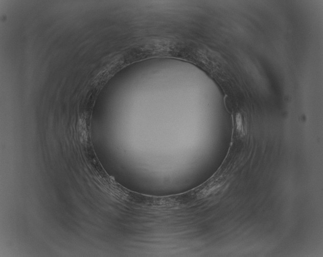 X0000073971203200608281204