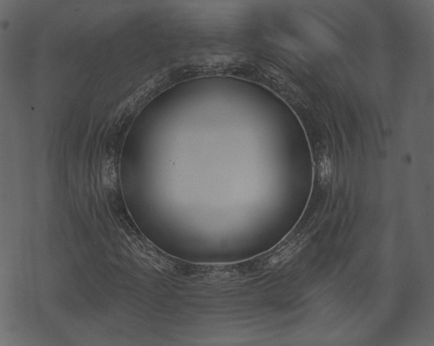X0000073971204200608281204