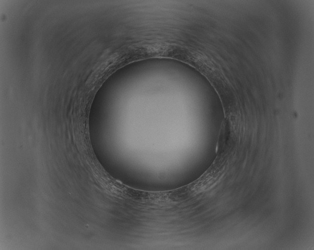 X0000073971249200608281204
