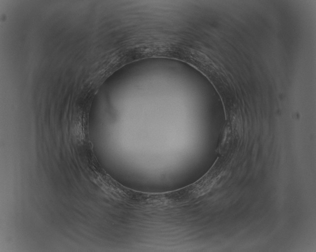 X0000073971250200608281204