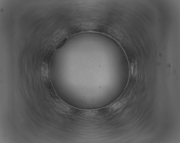 X0000073971251200608281204
