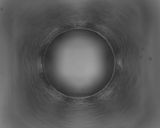 X0000073971252200608281204