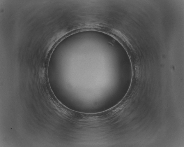 X0000073971260200608281204