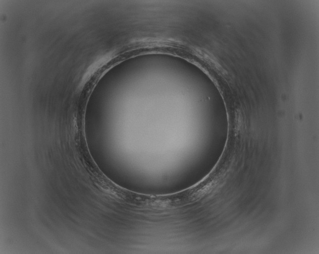 X0000073971261200608281204