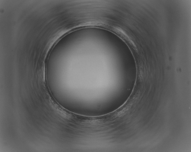 X0000073971276200608281204