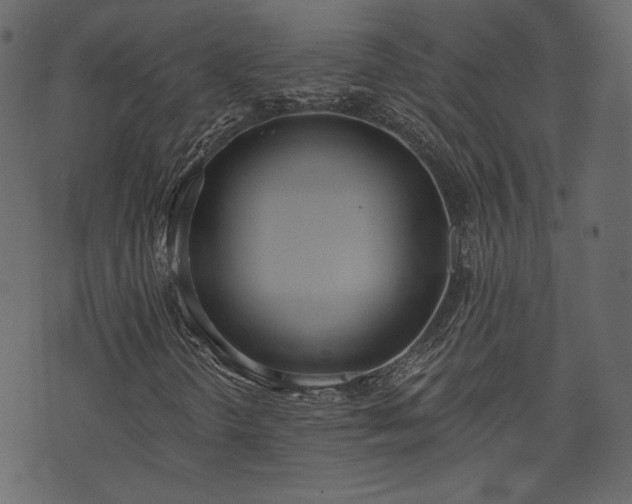 X0000073971298200608281203