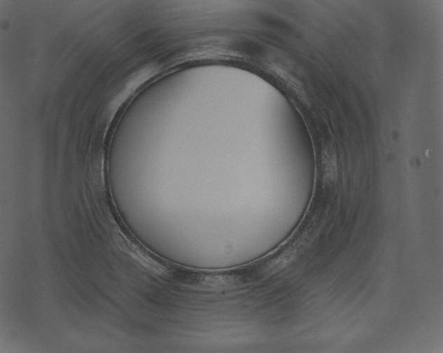 X0000073971322200608281203