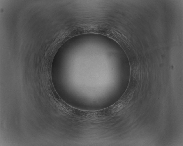 X0000073971345200608281203