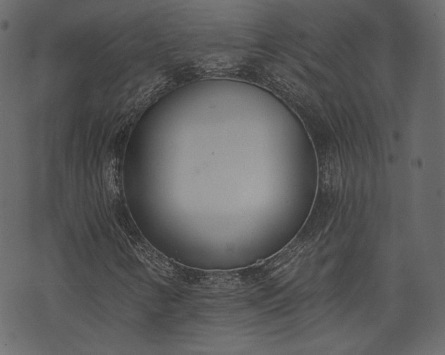 X0000073971346200608281203