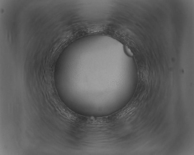 X0000073971393200608281201