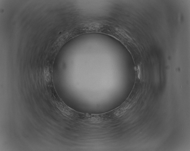 X0000073971395200608281201