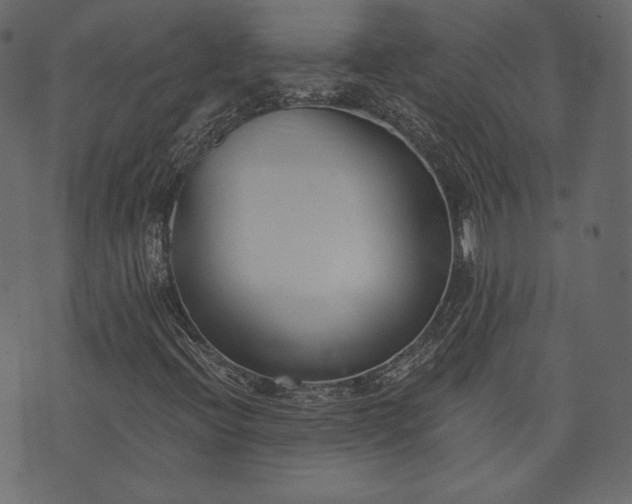 X0000073971396200608281201