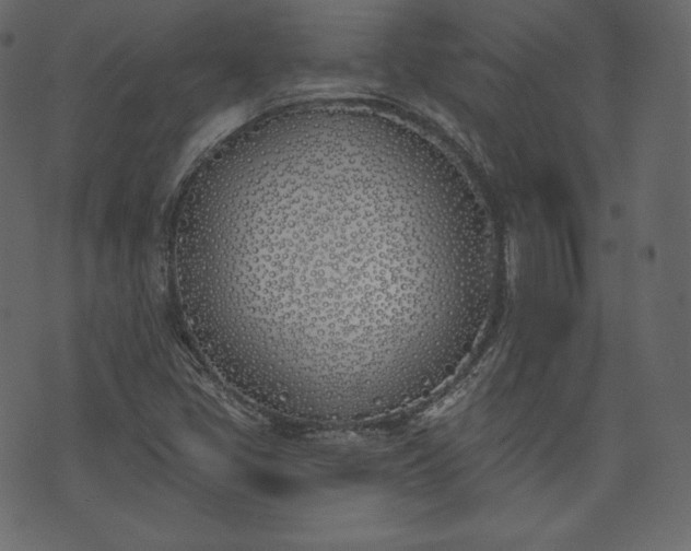 X0000073971405200608281201