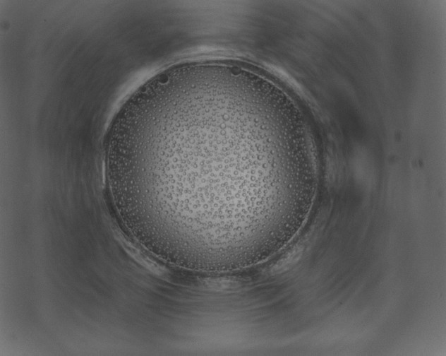 X0000073971413200608281202