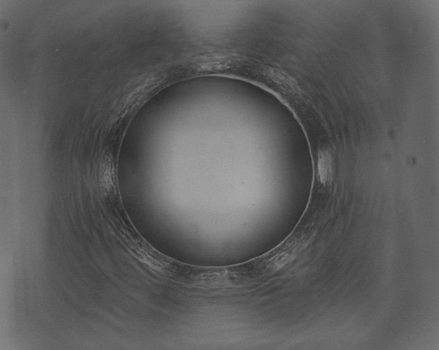 X0000073971444200608281201