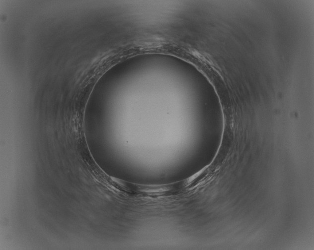 X0000073971445200608281201