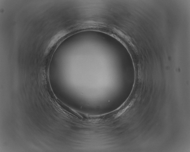 X0000073971453200608281201