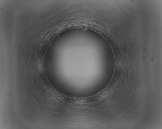 X0000073971490200608281200