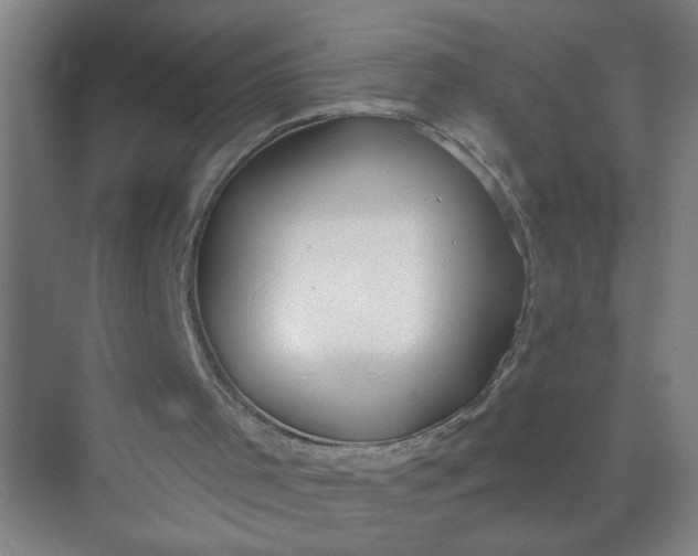 X0000073970001200609051857