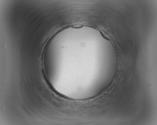 X0000073970002200609051857