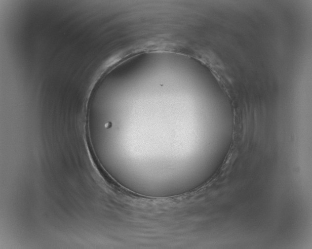 X0000073970003200609051857